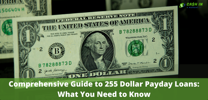 Comprehensive Guide to 255 Dollar Payday Loans: What You Need to Know